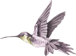 sustainable travel design hummingbird logo graphic