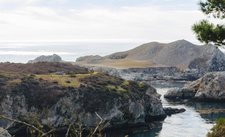 point lobos state park bird island trail