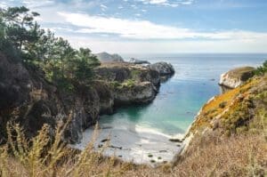 point lobos state park bird island trail