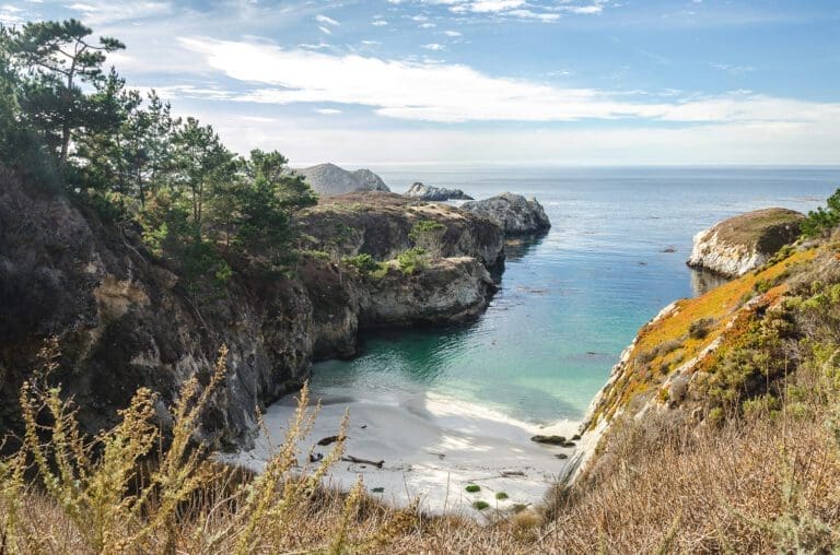 point lobos state park bird island trail