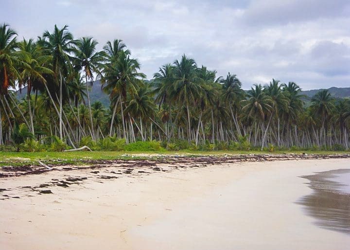 Playa Rincón Samaná Dominican Republic