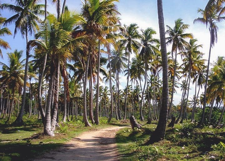 Las Galeras Samana Grand Paradise Dominican Republic