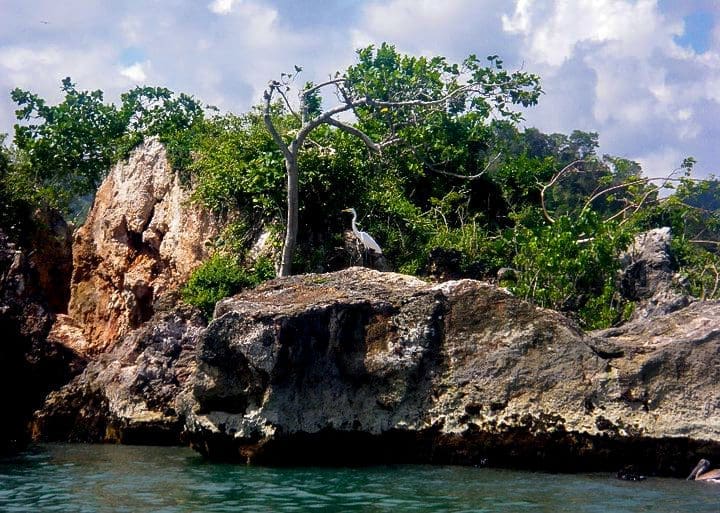 Los Haitises national park Samaná Dominican Republic