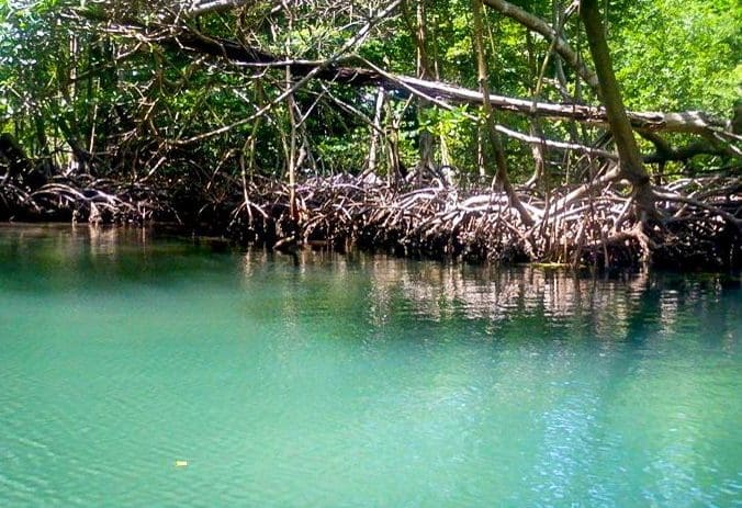 Los Haitises Samaná Dominican Republic